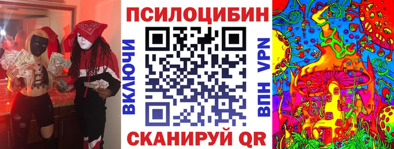 OMG ССЫЛКА  Торопец  Псилоцибиновые грибы Magic Shrooms 